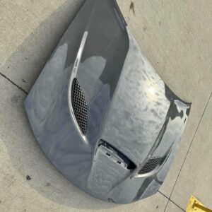 OEM Hellcat Factory Hood